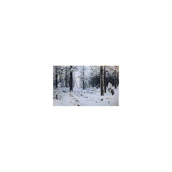 ivan_shishkin_-_winter